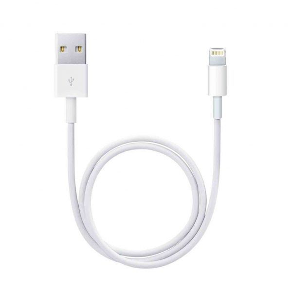 Apple Lightning to USB Cable 1 M