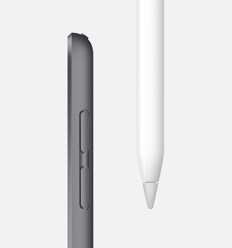 Apple iPad mini Wi-Fi + Cellular 256GB Space Gray