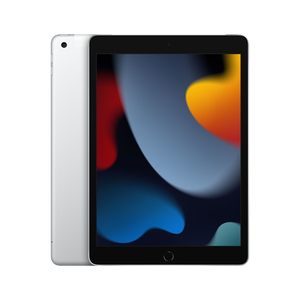 Apple iPad 10.2-Inch 9th Gen Wi-Fi + Cellular 256GB Silver