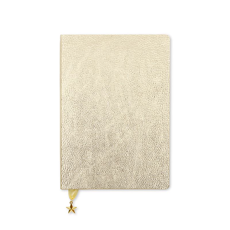 Go Stationery Metallic Light Gold All That Glitters A5 Diary Wtv Undated