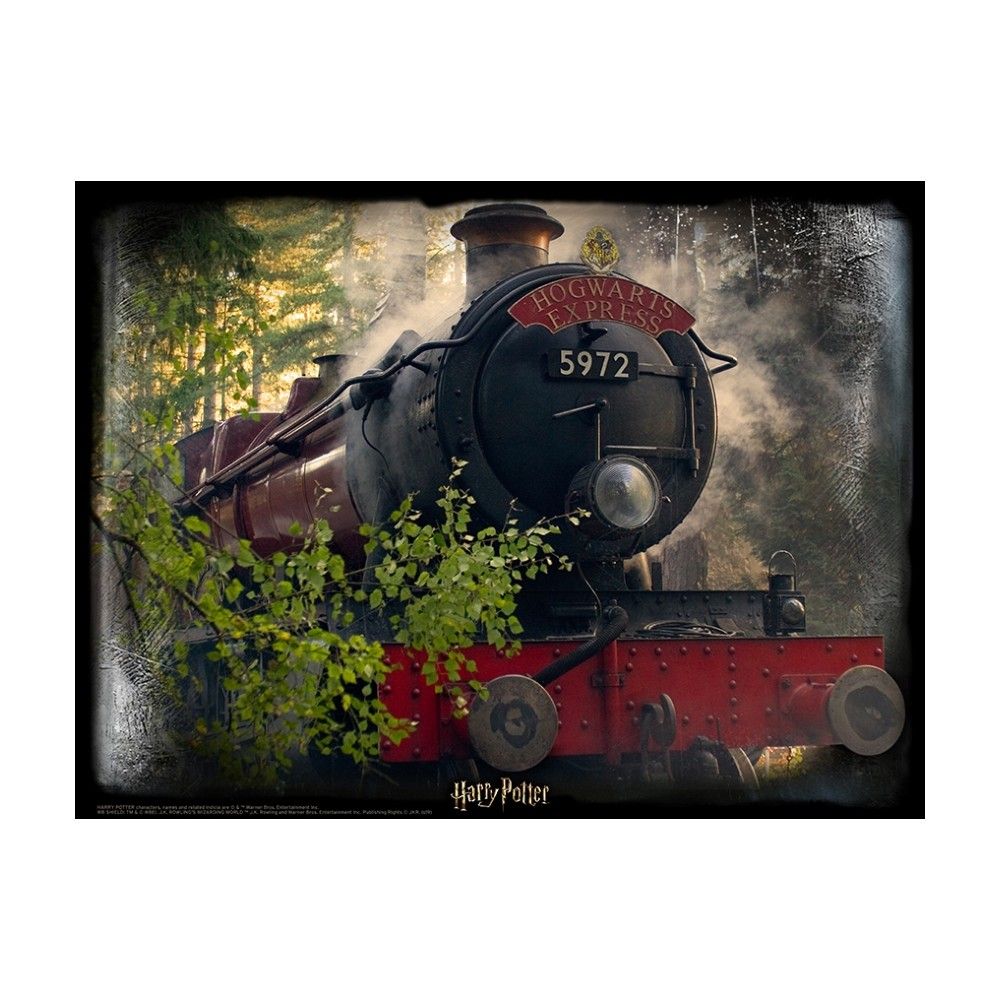 Puzzle the Hogwarts Express 300Pc