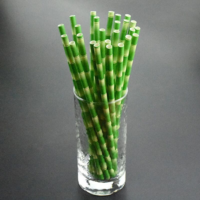 Paper Straws Bamboo Box of 144