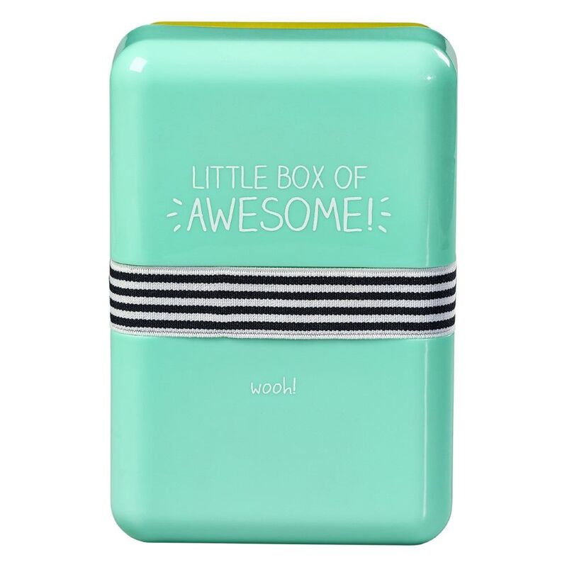 Happy Jackson Little Box of Awesome Lunch Box