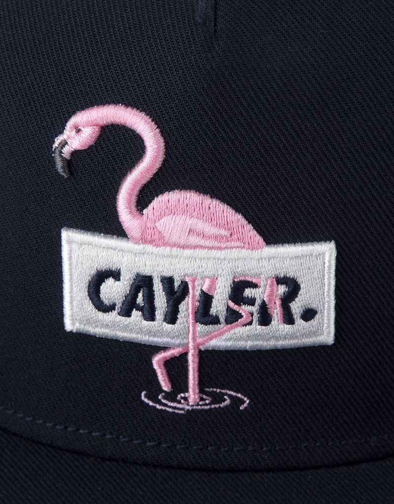 Cayler & Sons C&S Wl Camingo Men's Cap Navy/Mc