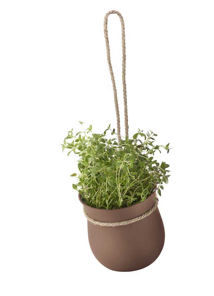 Rig Tig Grow It Herb Pot Terracotta