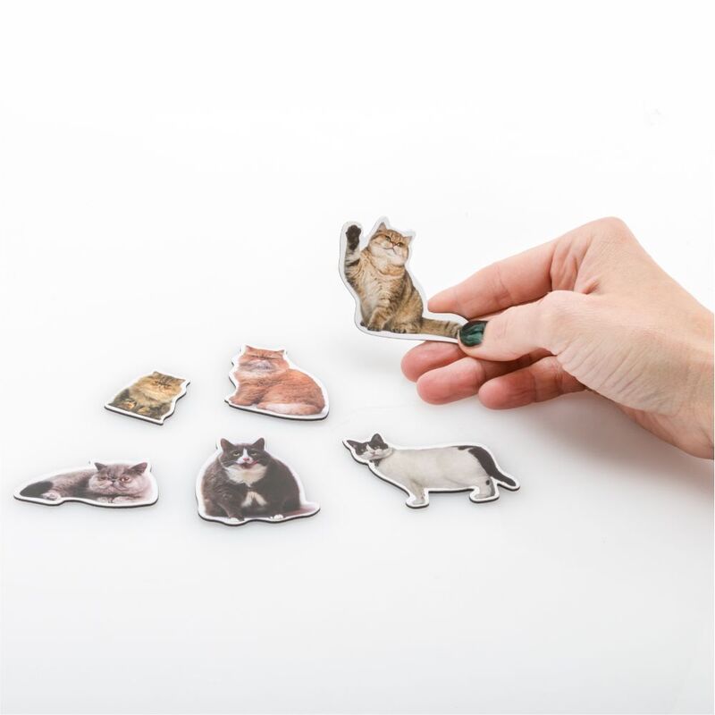 Fat Cat Magnets