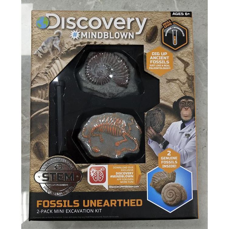 Discovery Toy Excavation Kit Mini Fossil 2Pc