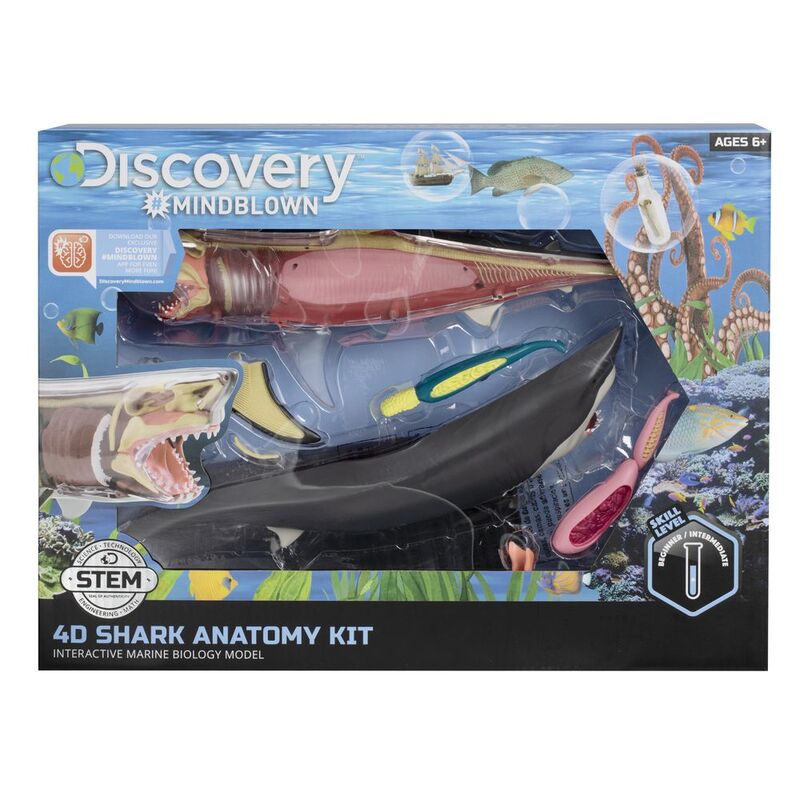 Discovery Anatomy 4D Shark