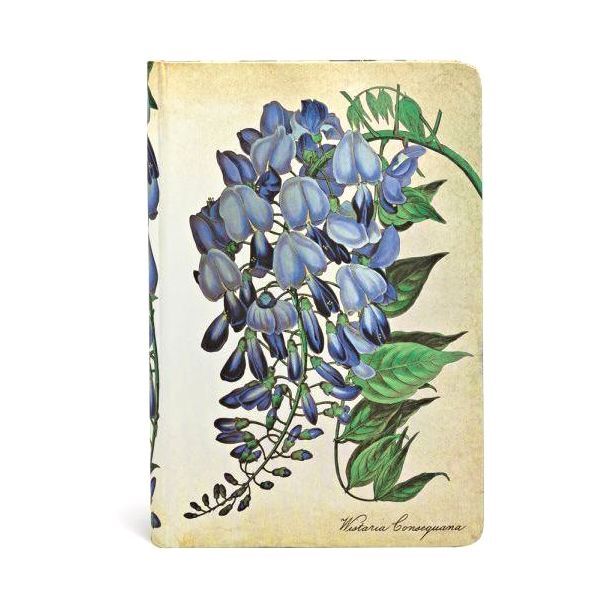 Paperblanks Botanical/Blooming Wisteria/Mini/Lined Diary