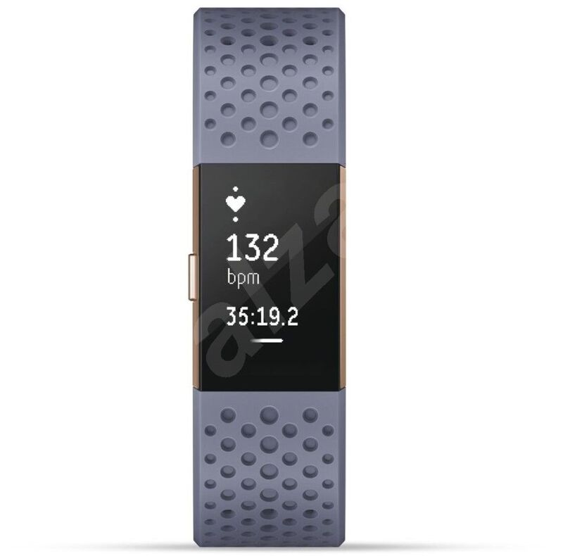 Fitbit Charge 2 Blue/Grey Sport Band Rose Gold Small Smart Watch