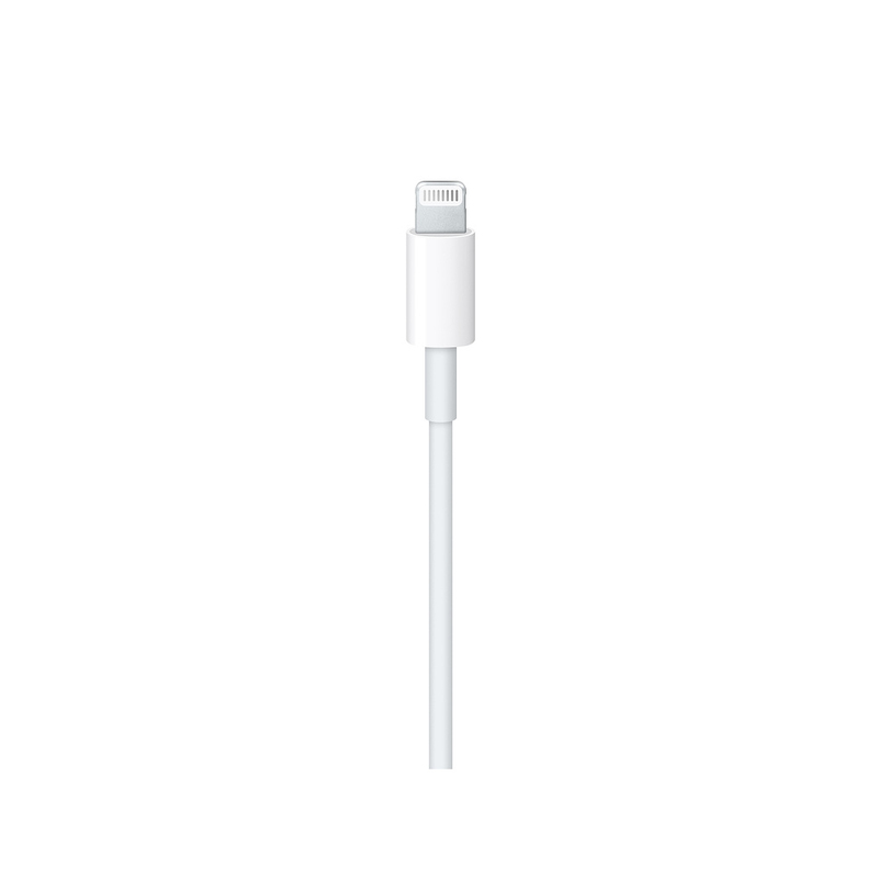 Apple Lightning to USB-C Cable (1M)